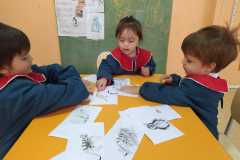 WhatsApp-Image-2022-05-09-at-3.16.41-PM